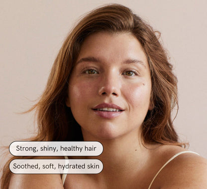 The Filtered Showerhead